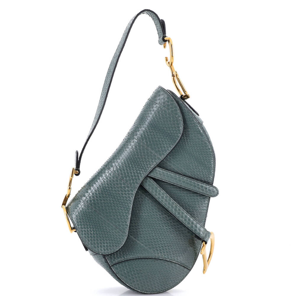 Christian Dior Medium Saddle Handbag Python